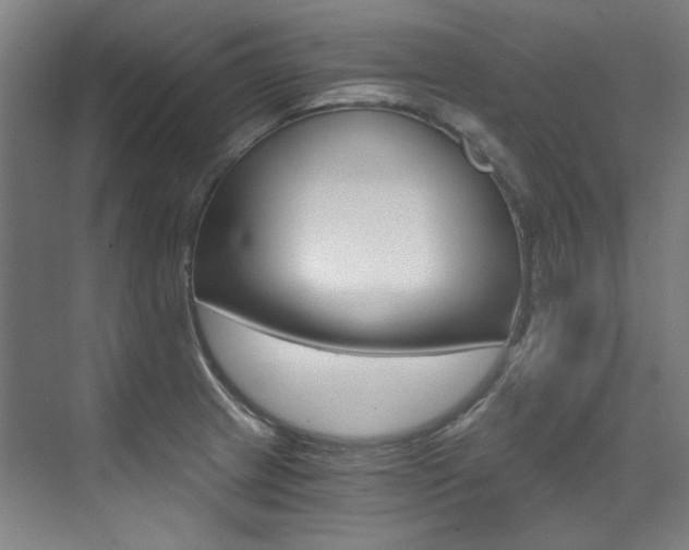 X0000073491233200607310908