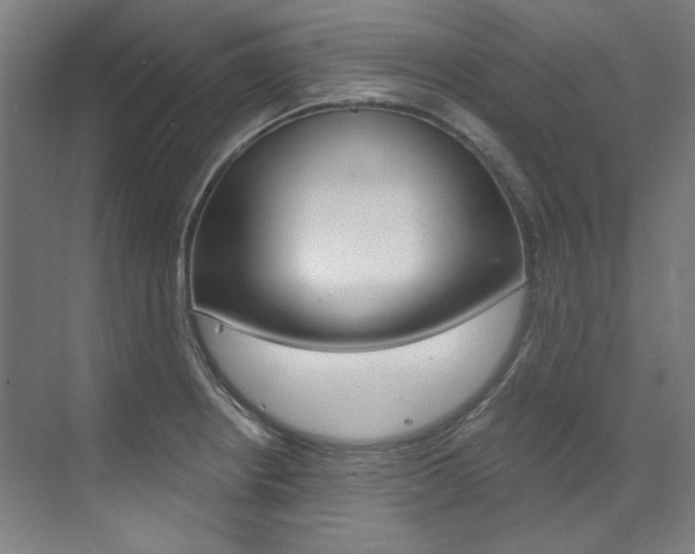 X0000073491234200607310908