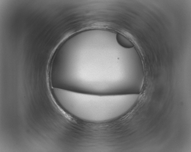X0000073491235200607310908