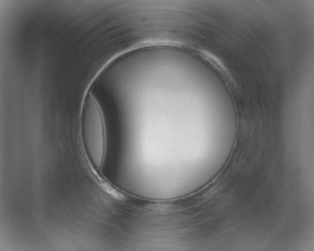 X0000073491236200607310908