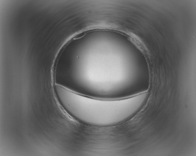 X0000073491238200607310908