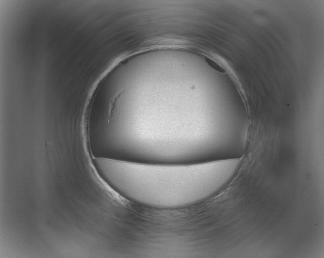 X0000073491243200607310908