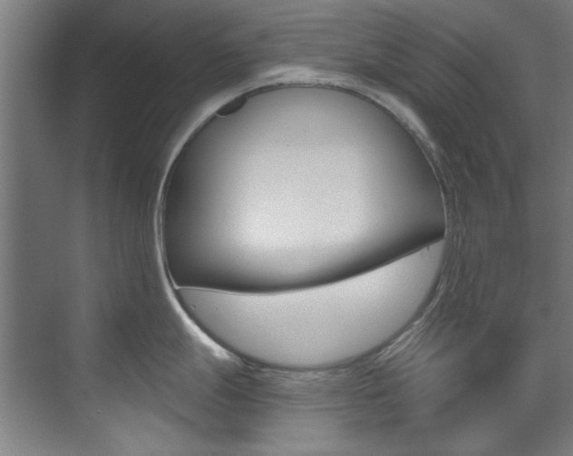 X0000073491247200607310909
