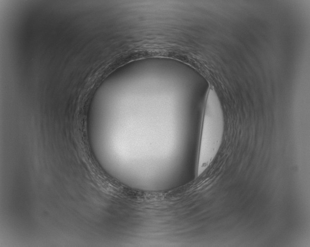 X0000073491249200607310908