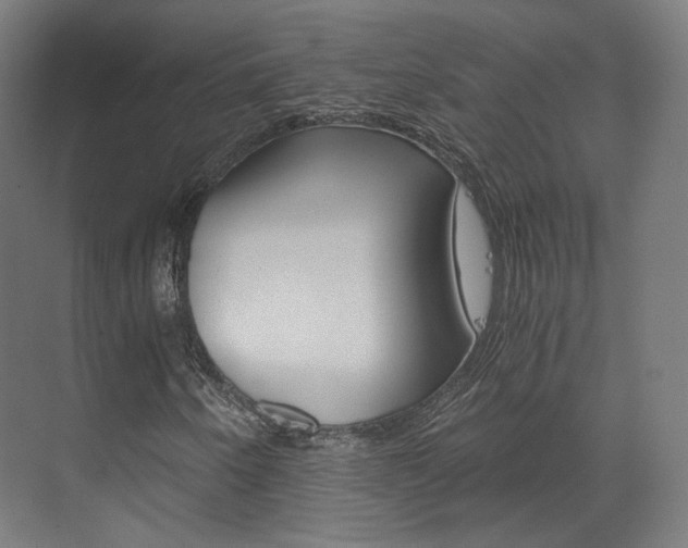 X0000073491250200607310908