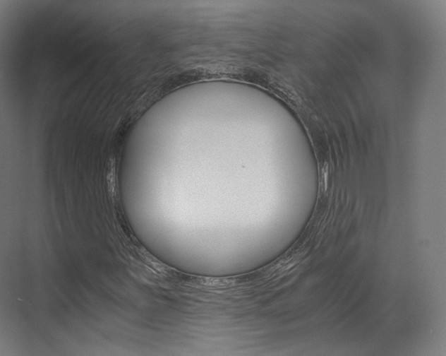 X0000073491251200607310908