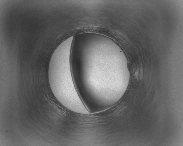 X0000073491252200607310908