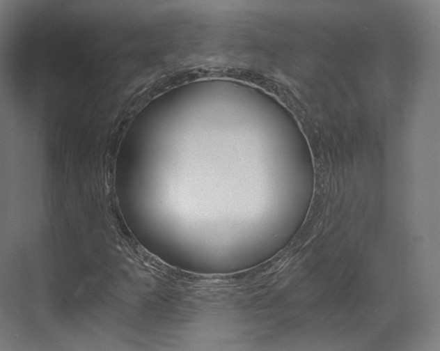 X0000073491253200607310908