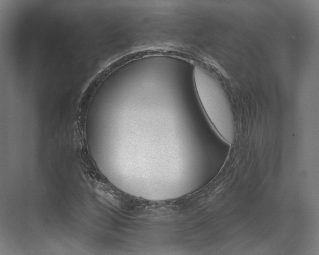 X0000073491256200607310908