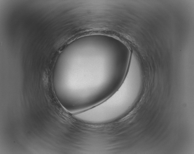 X0000073491257200607310908
