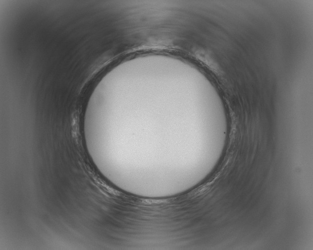 X0000073491258200607310908