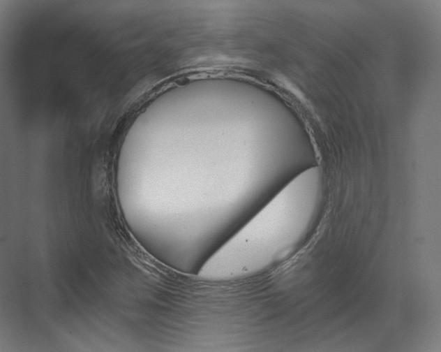 X0000073491259200607310908