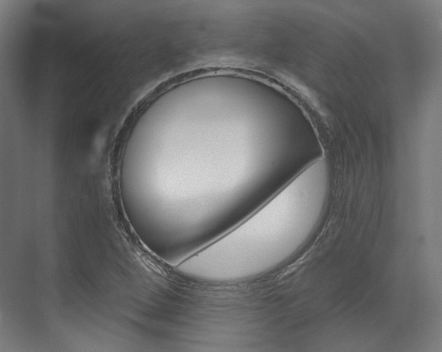 X0000073491264200607310907