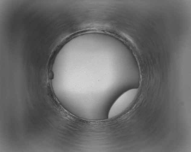 X0000073491267200607310907