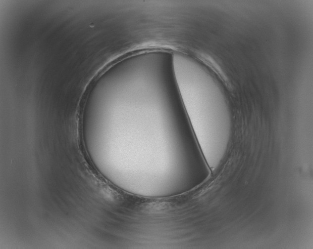 X0000073491268200607310907
