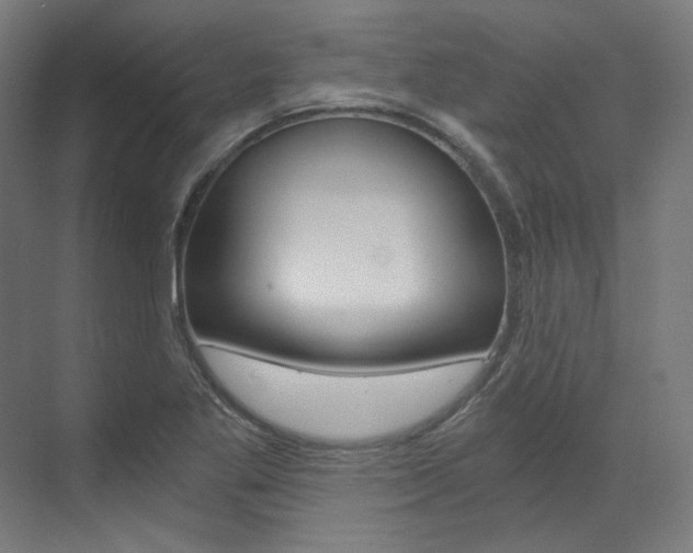 X0000073491269200607310907
