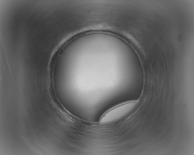X0000073491270200607310907