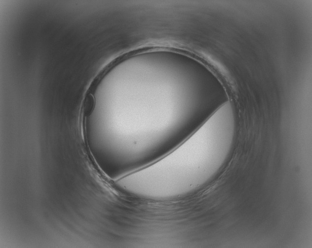 X0000073491272200607310907