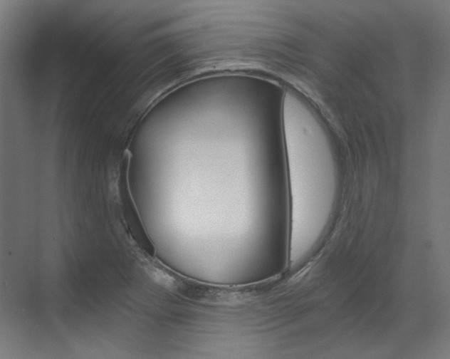 X0000073491273200607310907