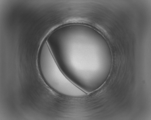 X0000073491277200607310907