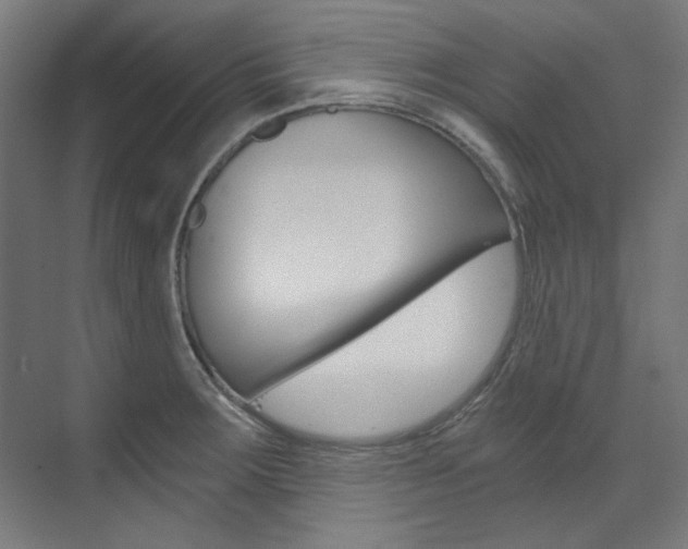 X0000073491283200607310907