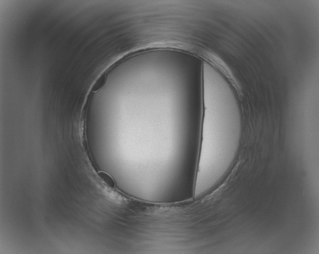 X0000073491284200607310907