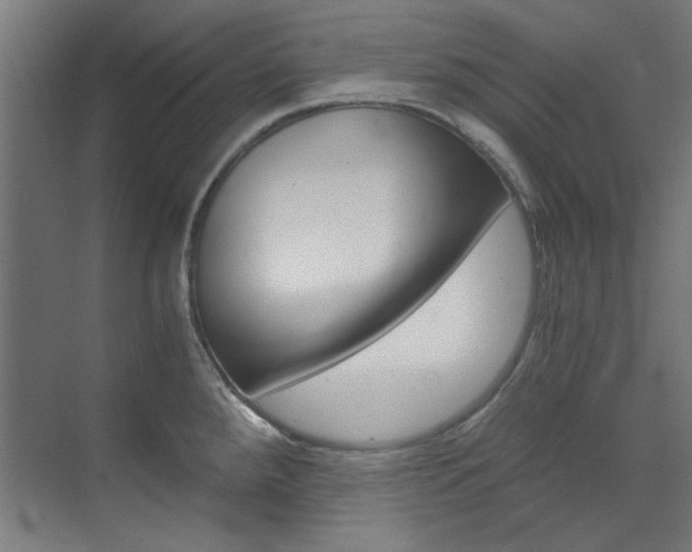 X0000073491288200607310907