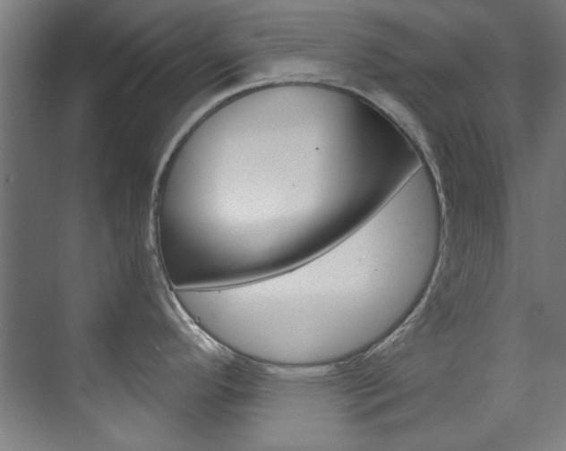 X0000073491296200607310907