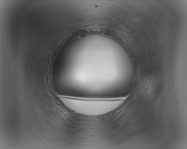 X0000073491297200607310906