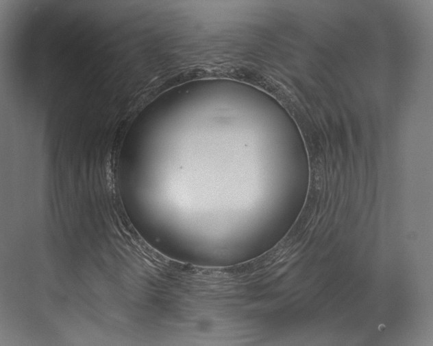X0000073491298200607310906