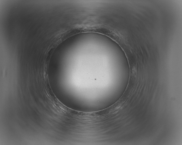 X0000073491300200607310906