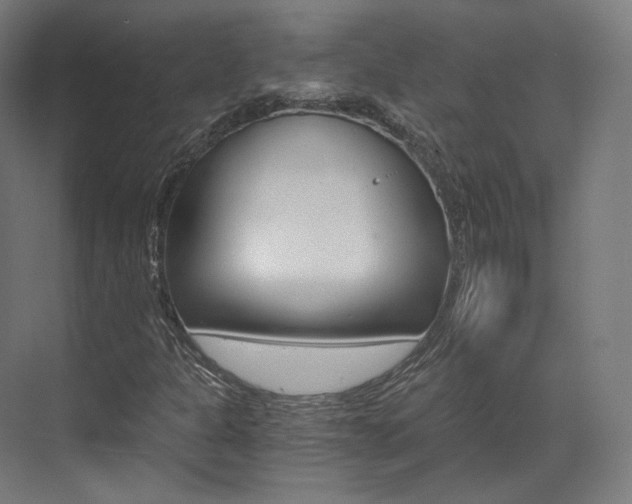 X0000073491301200607310906