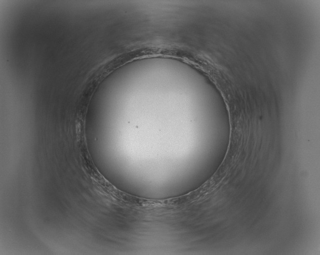 X0000073491302200607310906