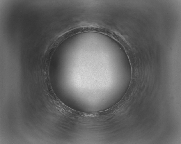 X0000073491303200607310906