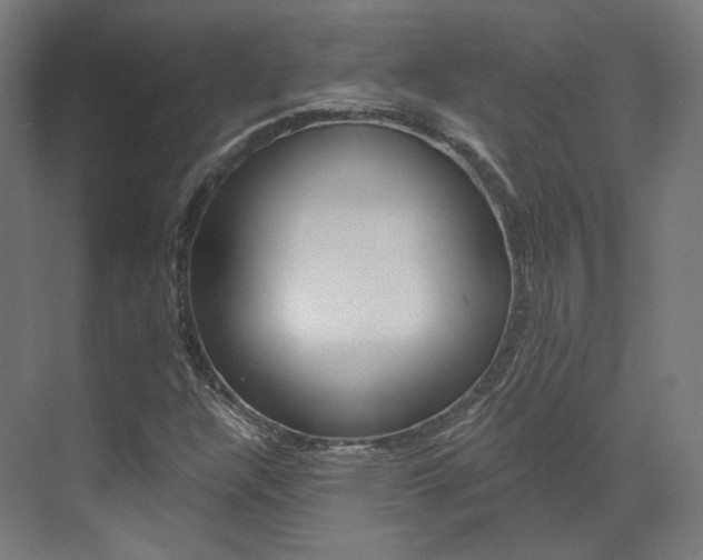 X0000073491304200607310906