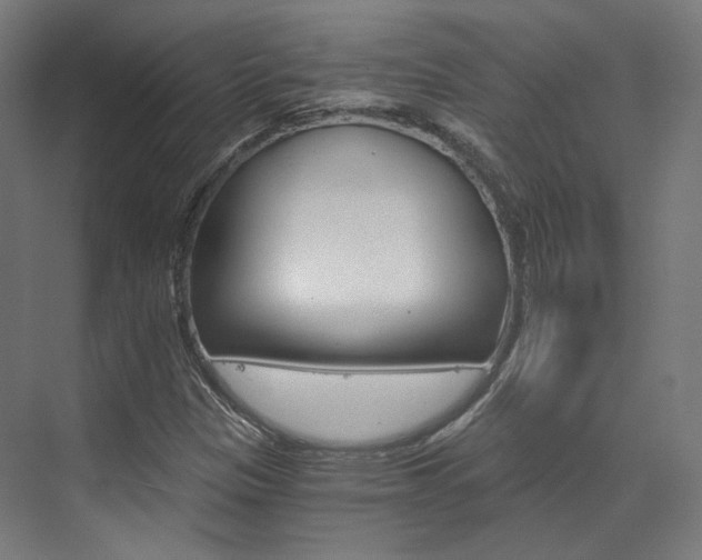 X0000073491305200607310906