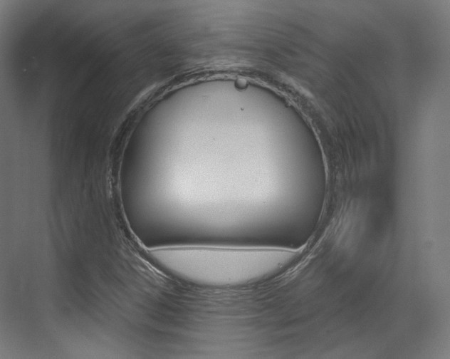 X0000073491306200607310906