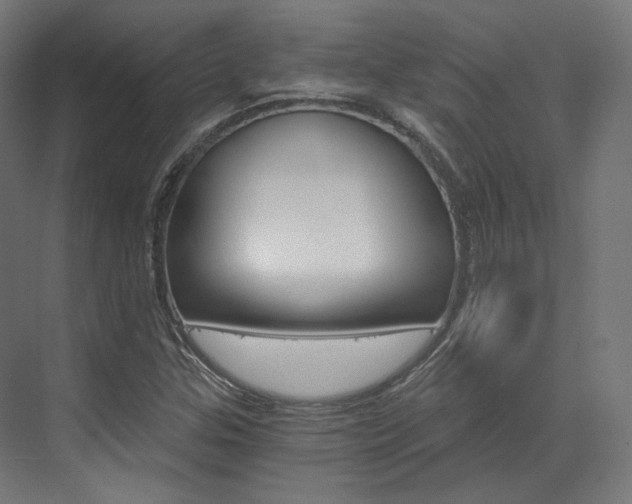 X0000073491307200607310906