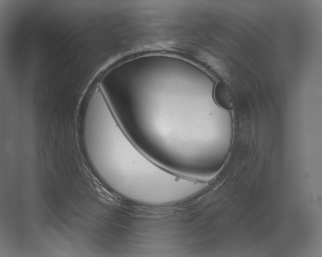 X0000073491308200607310906