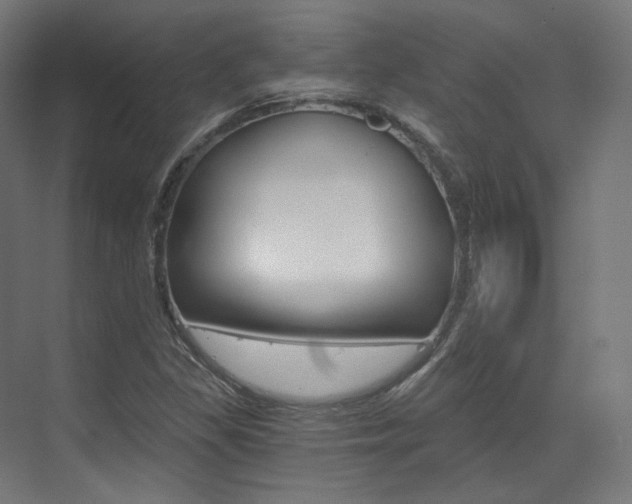 X0000073491309200607310906