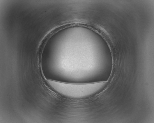 X0000073491310200607310906
