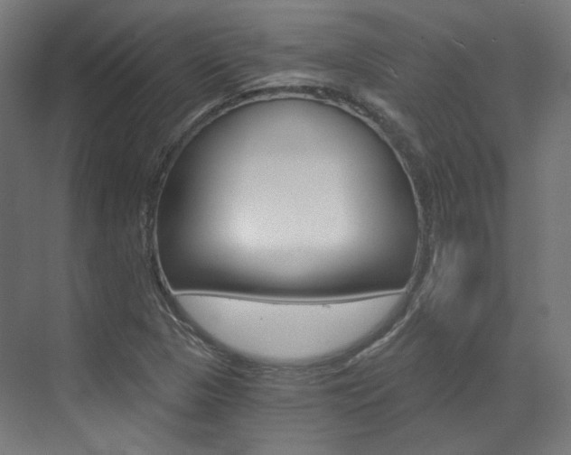 X0000073491313200607310906