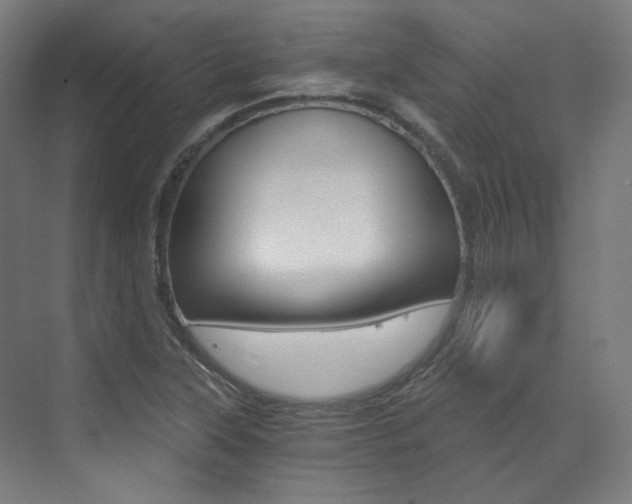 X0000073491315200607310906