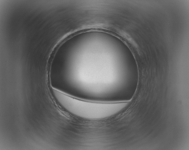X0000073491316200607310906