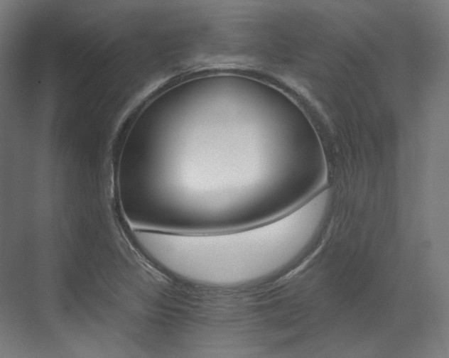 X0000073491317200607310906