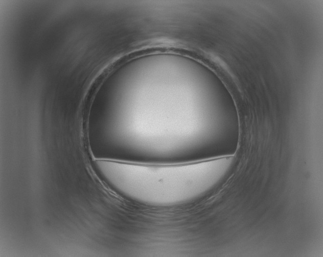 X0000073491318200607310906