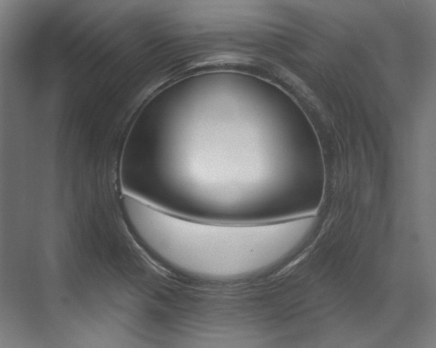 X0000073491321200607310907