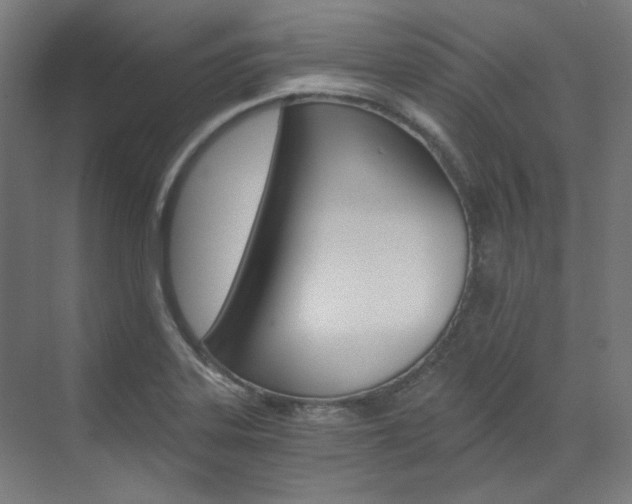 X0000073491323200607310907