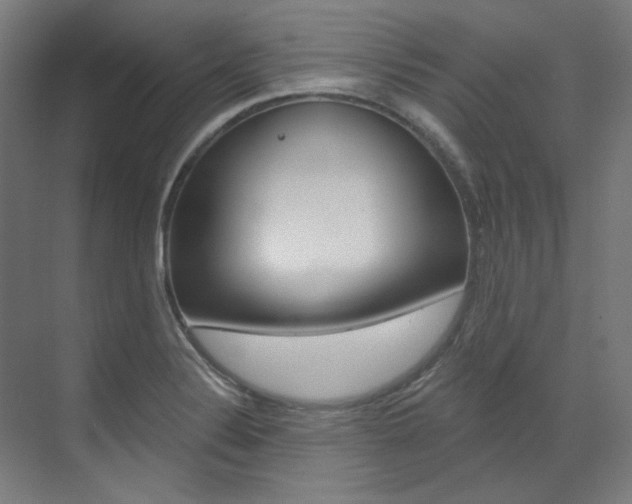 X0000073491324200607310907