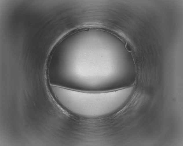 X0000073491325200607310907